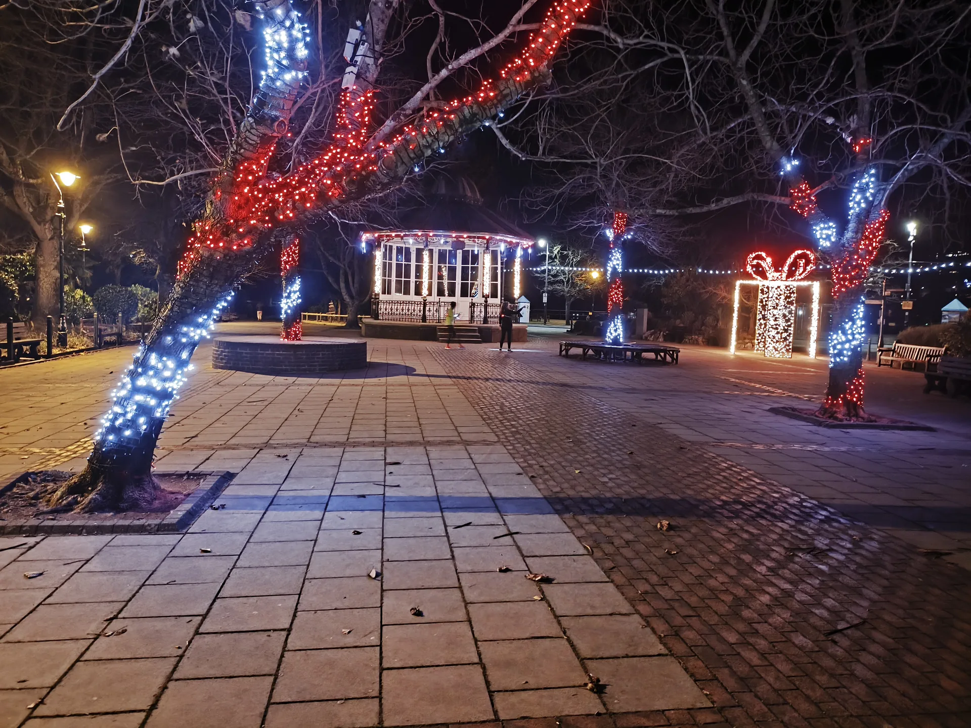 Dartmouth bandstand and trees wrapped in Christmas lights at night