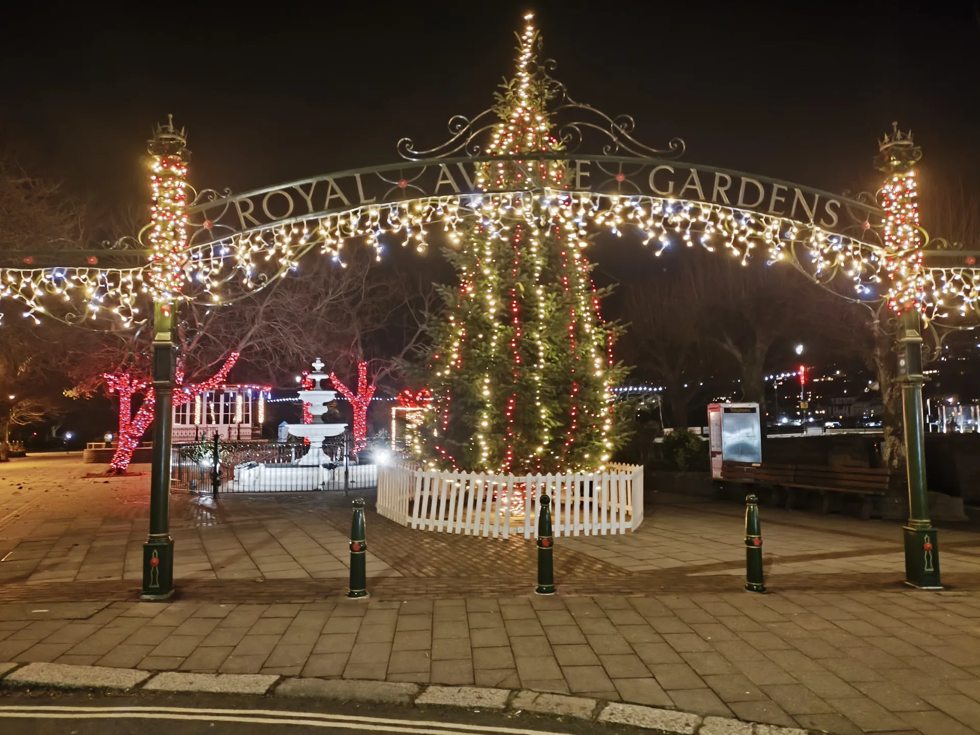 Royal Avenue Gardens lit up with Christmas lights and a large tree