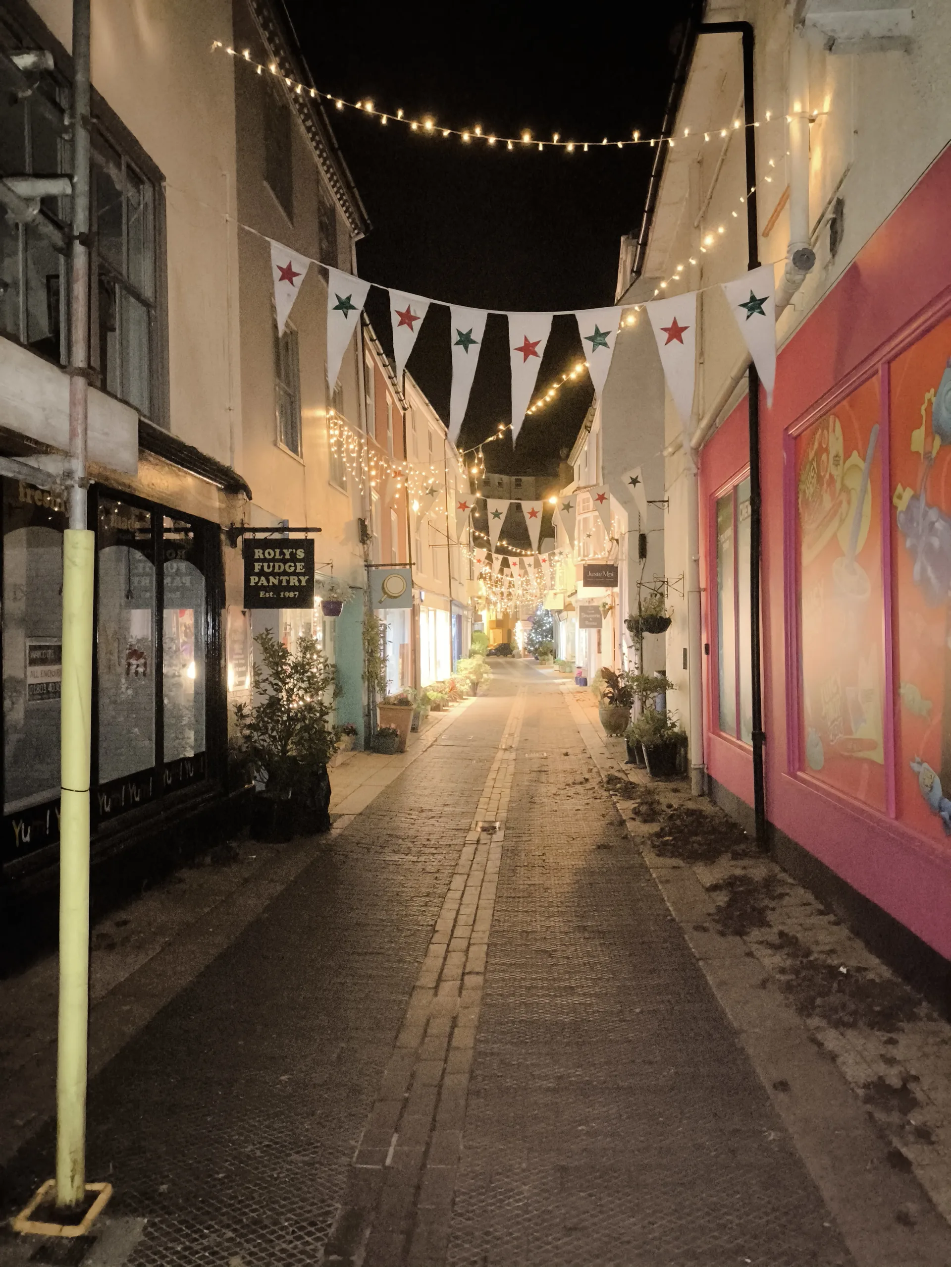 Dartmouth lane at night with Christmas lights and bunting